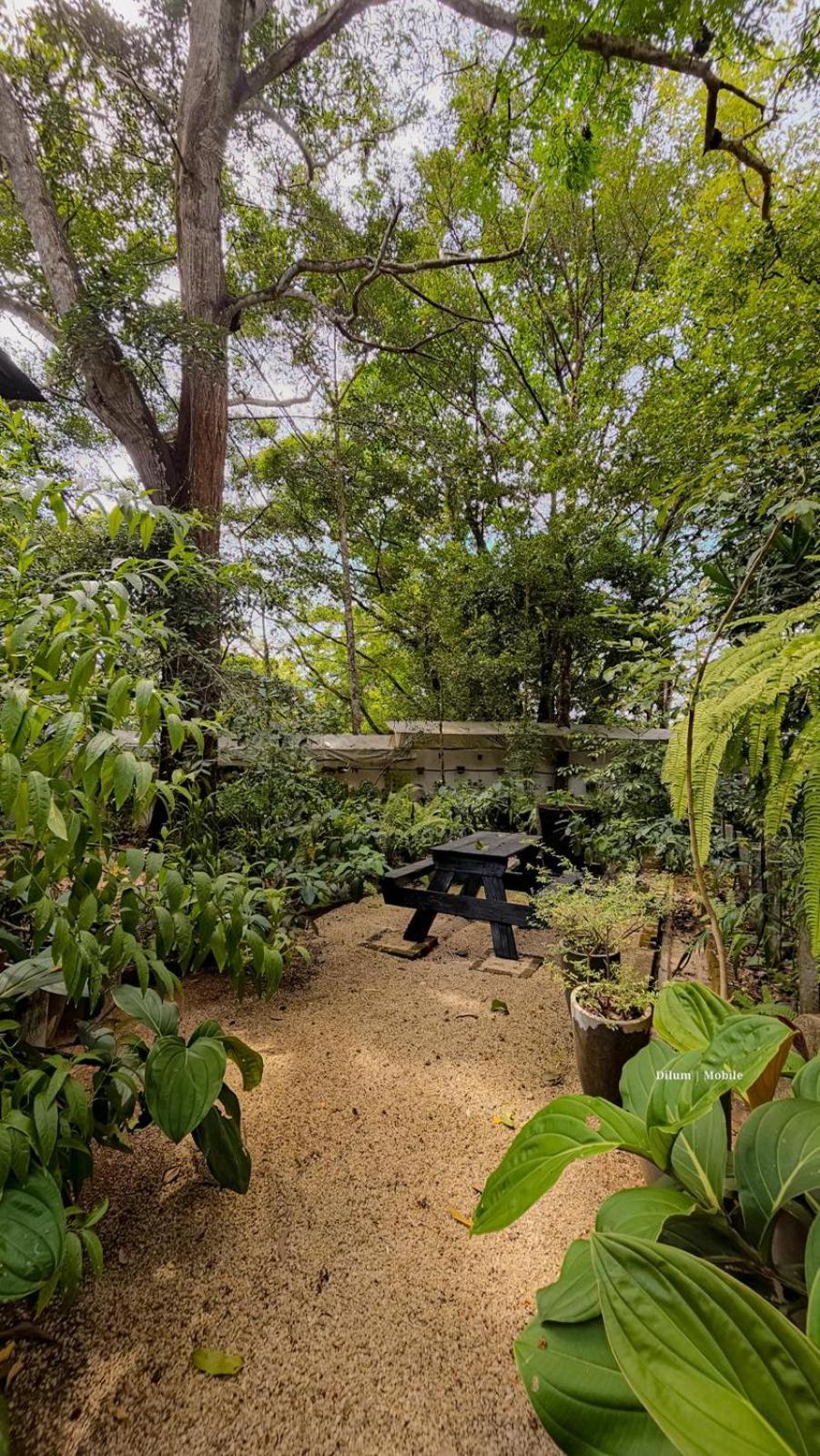 Ceylon Kingsmen Garden Hotel - Katunayake Νεγκόμπο Εξωτερικό φωτογραφία